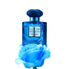 Paris Corner Nuit de Passion 100ml