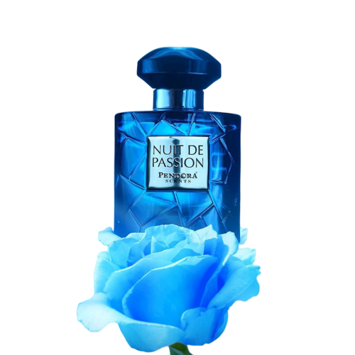 751382-a90a962e688c857a7497c035ebc89be1 Paris Corner Nuit de Passion 100ml