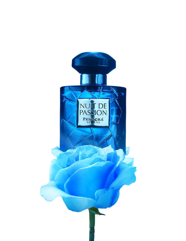 Paris Corner Nuit de Passion 100ml